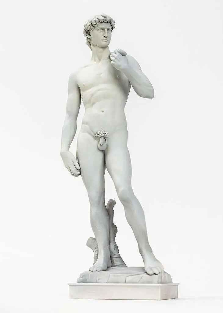 MICHELANGELO DAVID PLASTIC MODEL KIT Frikytopia
