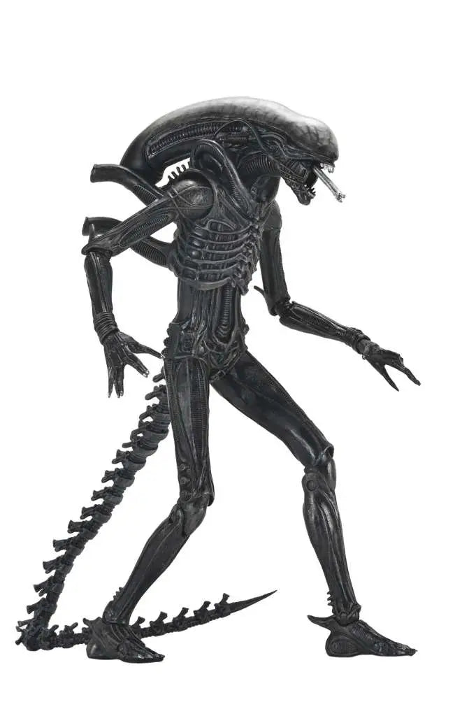 ALIEN ROMULUS XENOMORPH XX121 ULTIMATE AF Frikytopia