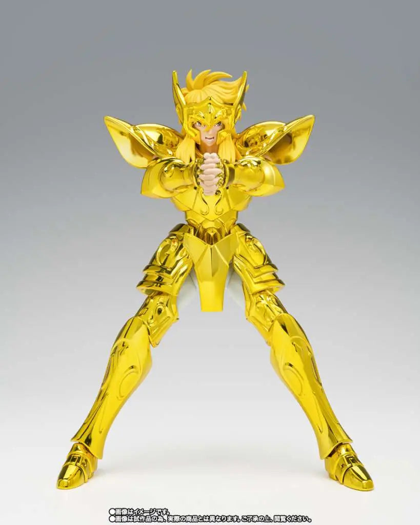 SAINT CLOTH MYTH EX AQUARIUS HYOGA INHERITOR OF THE GOLD CLOTH