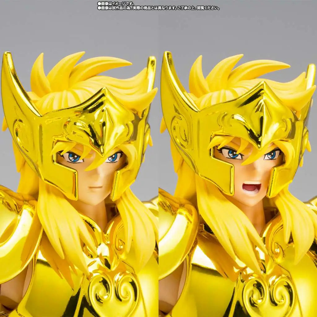 SAINT CLOTH MYTH EX AQUARIUS HYOGA INHERITOR OF THE GOLD CLOTH