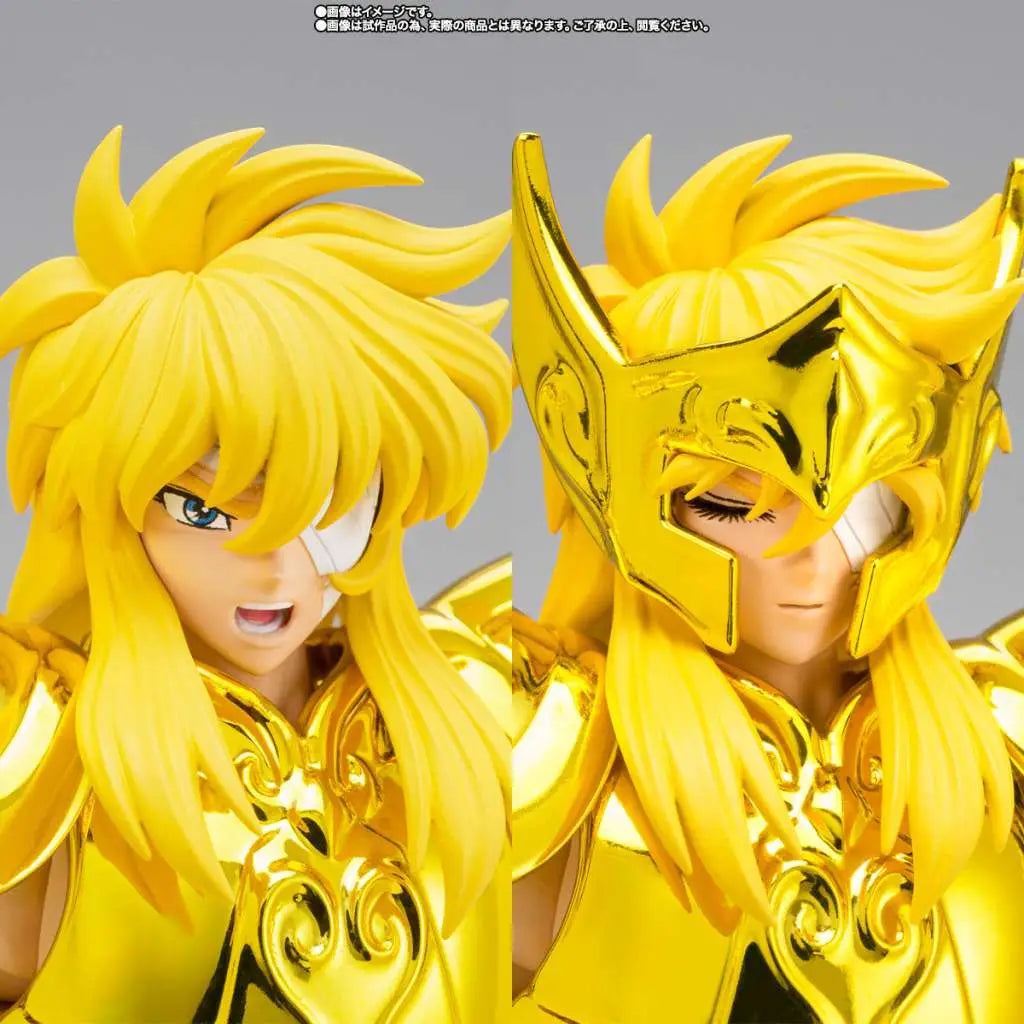 SAINT CLOTH MYTH EX AQUARIUS HYOGA INHERITOR OF THE GOLD CLOTH