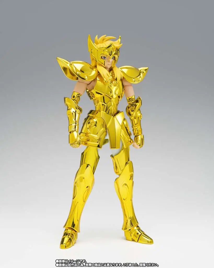 SAINT CLOTH MYTH EX AQUARIUS HYOGA INHERITOR OF THE GOLD CLOTH