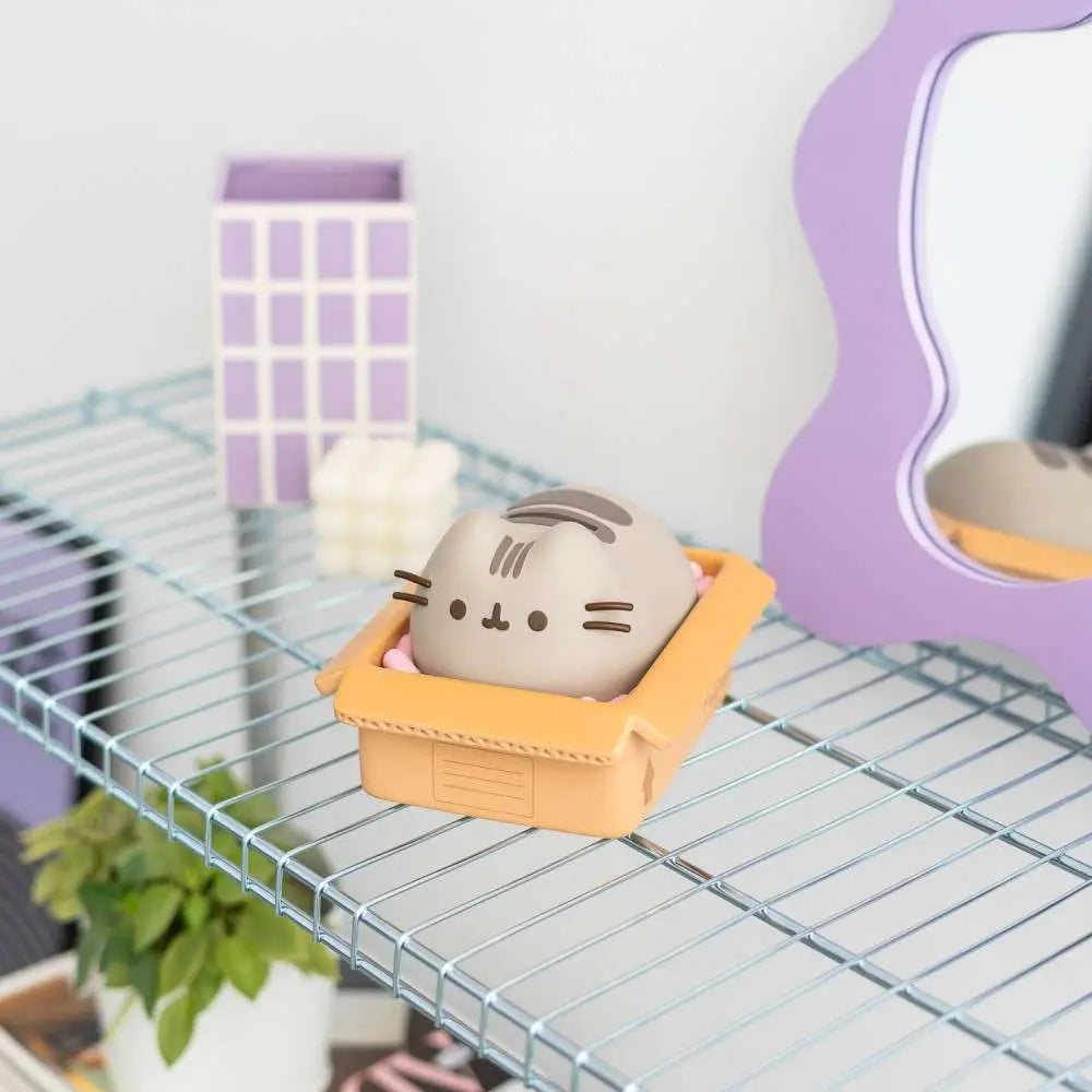 Hucha Pusheen