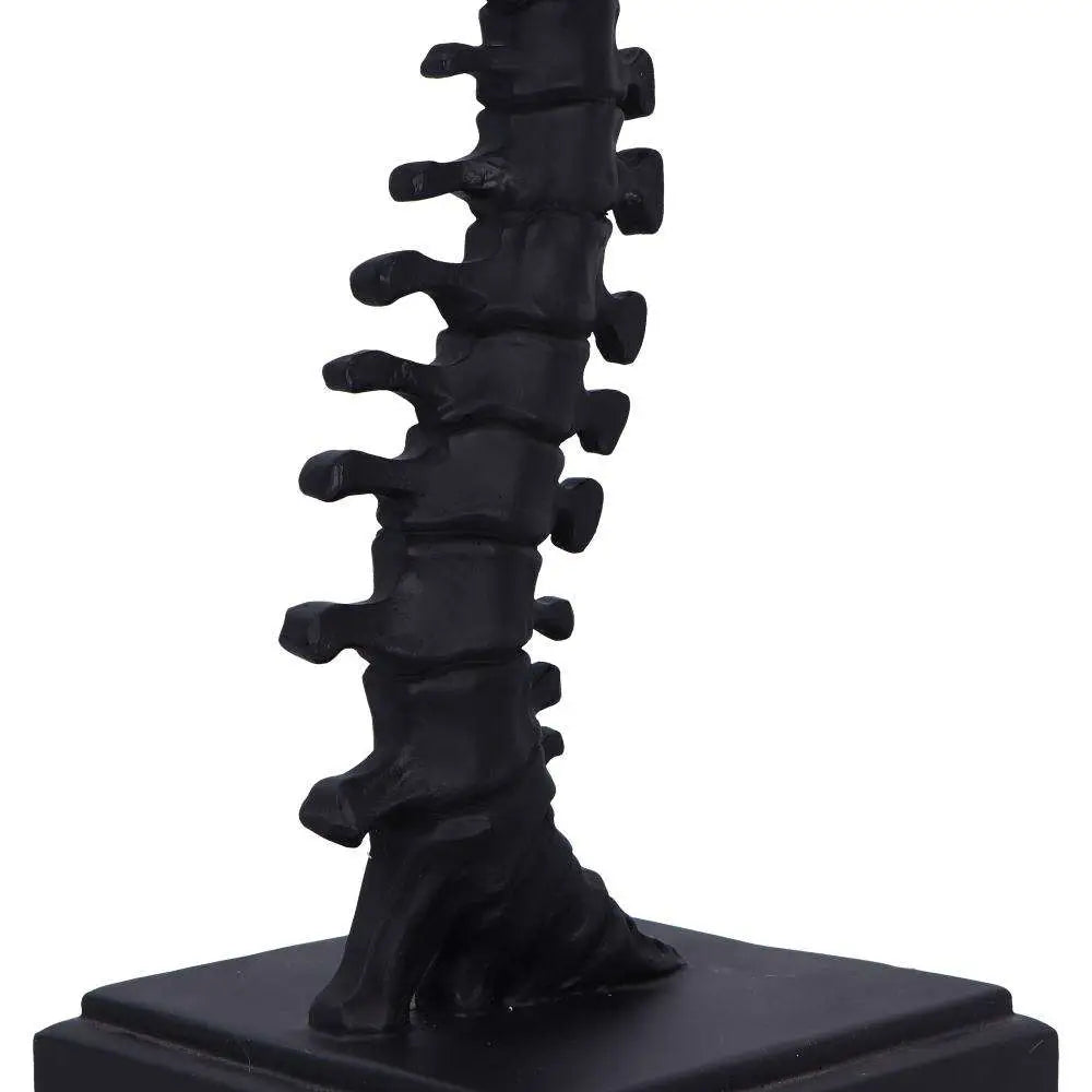 VERTEBRAE TABLE Lámpara
