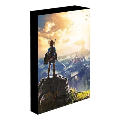 THE LEGEND OF ZELDA INTO THE WILDS Lámpara UP CANVAS