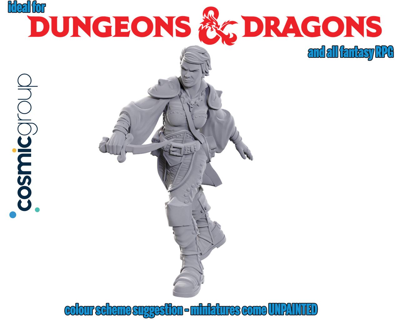 D&D NOLZUR'S MARVELOUS MINIATURES - SWASHBUCKLER