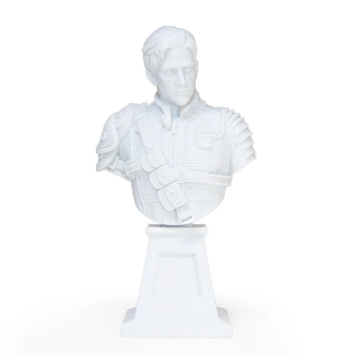 FALLOUT PAINTER Busto NATE