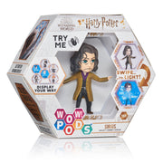 Wow pod wizarding world sirius