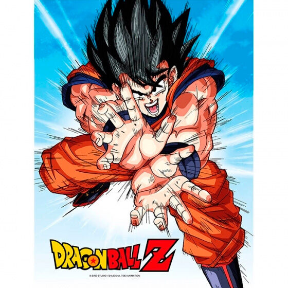 Poster cristal Goku Kame Dragon Ball Z Frikytopia