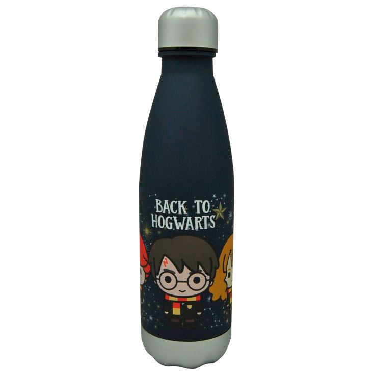 Botella Back to Hogwarts Harry Potter 650ml Frikytopia