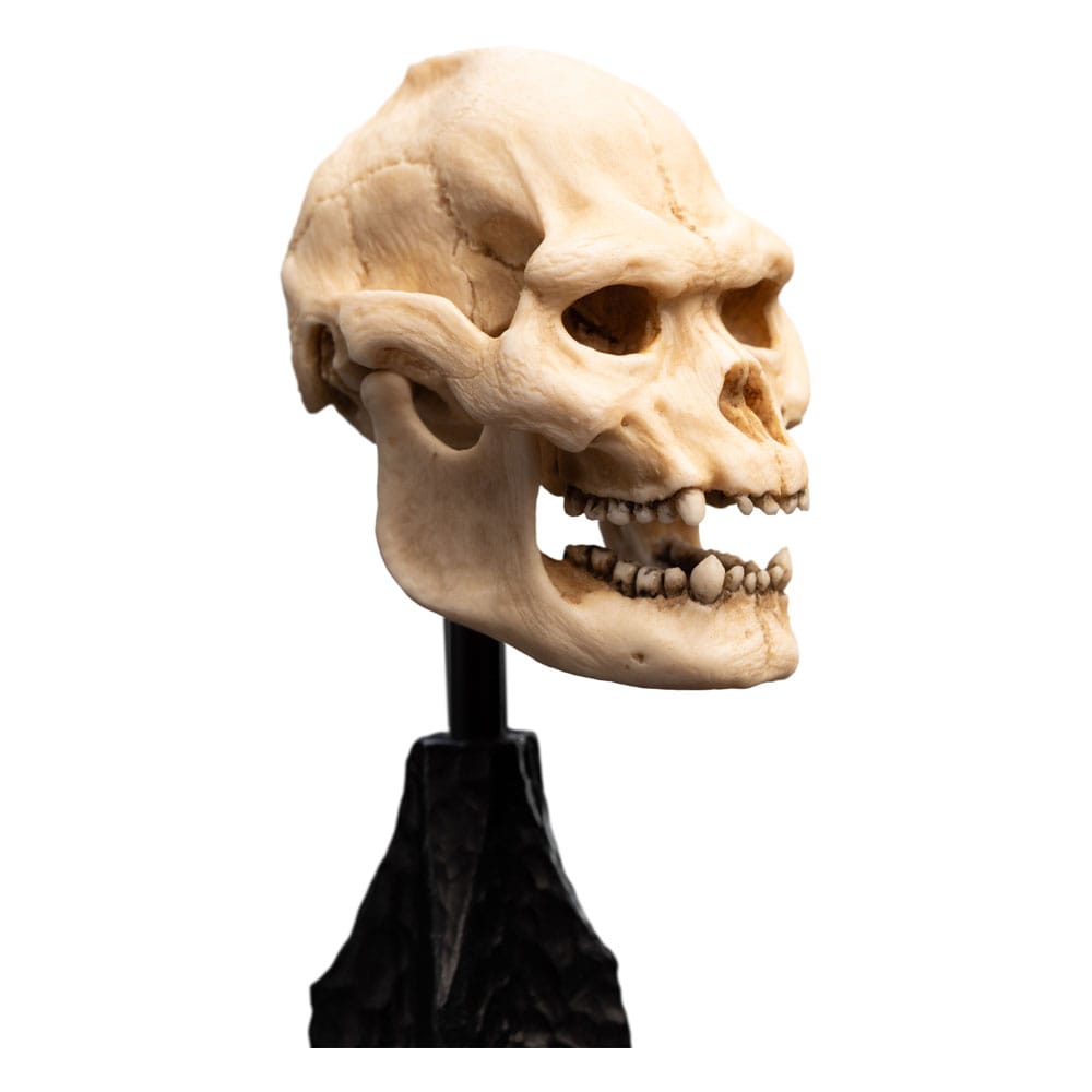 El Señor de los Anillos Estatua Skull Of Lurtz 14 cm