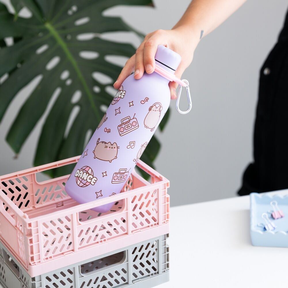 Botella Acero Inoxidable Moments Pusheen 500ml