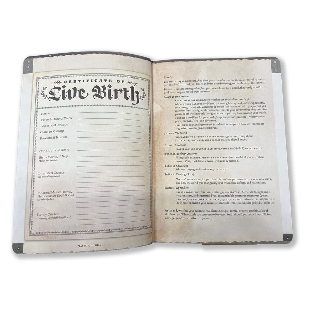 Libreta A5 Player's Journal Sage Green Shield