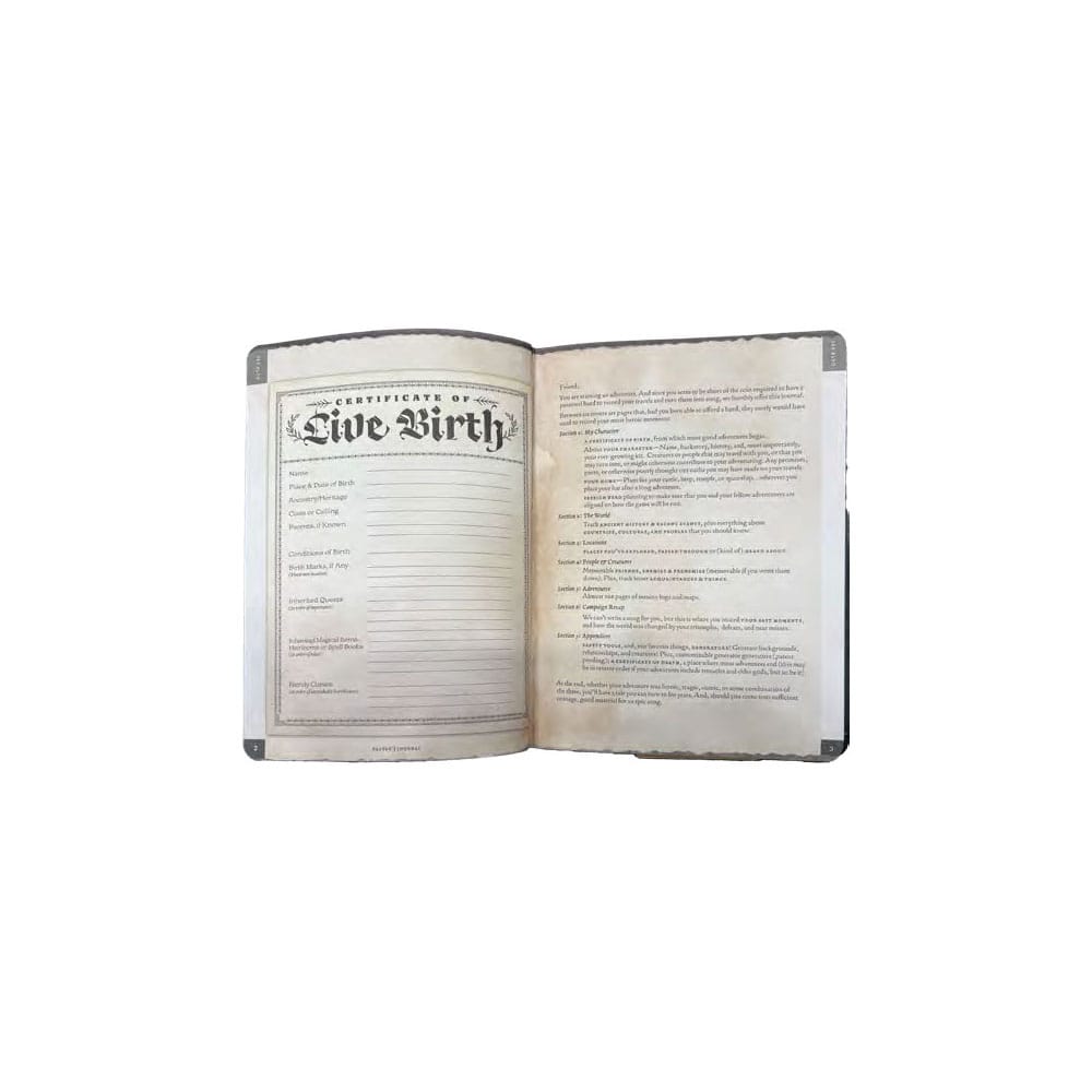 Libreta A5 Player's Journal