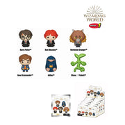 Wizarding World Imáns 3D Series 1 Expositor (12)