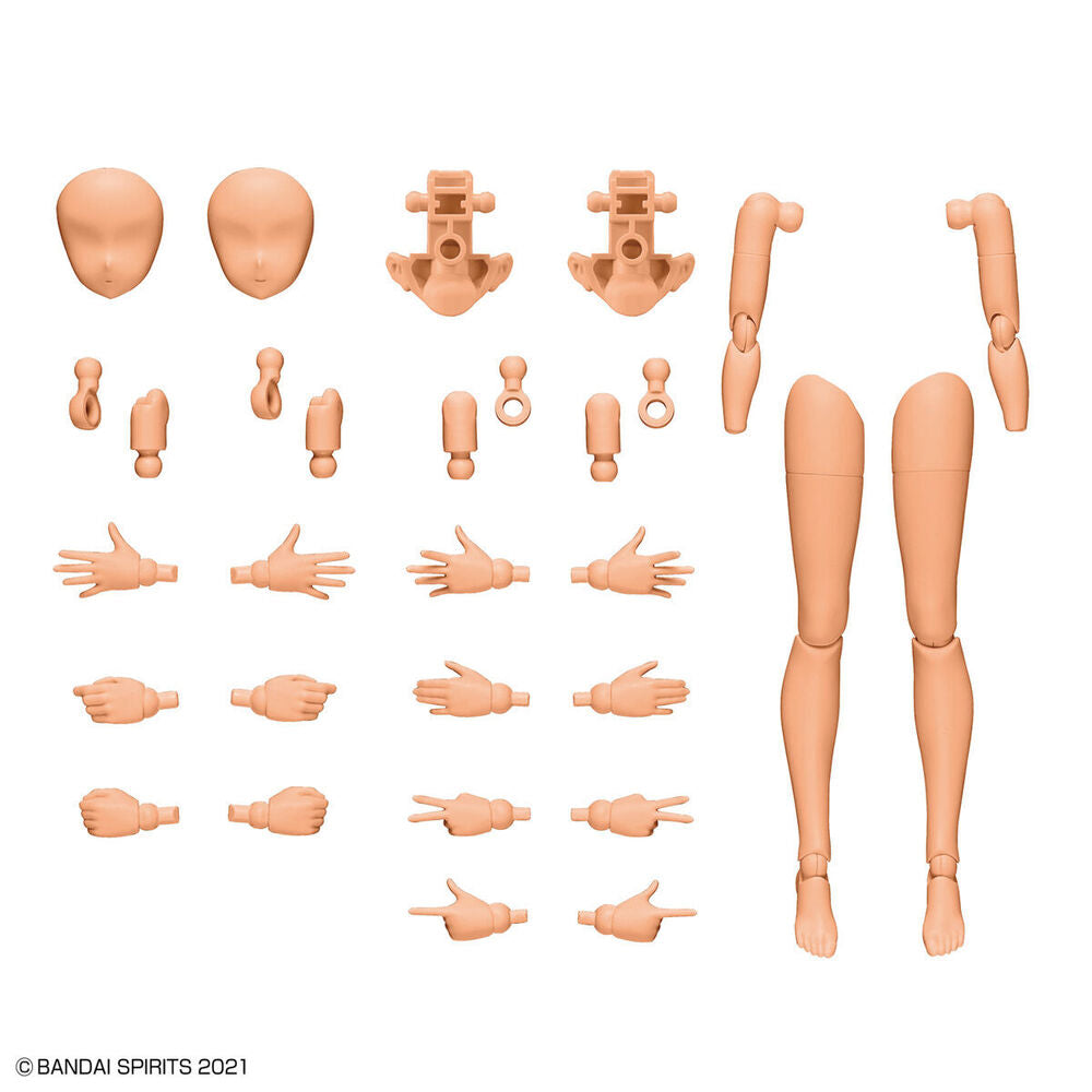 Set Partes Cuerpo Brazos y Piernas 30MS Color C