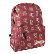 Mochila Gryffindor Harry Potter 44 cm