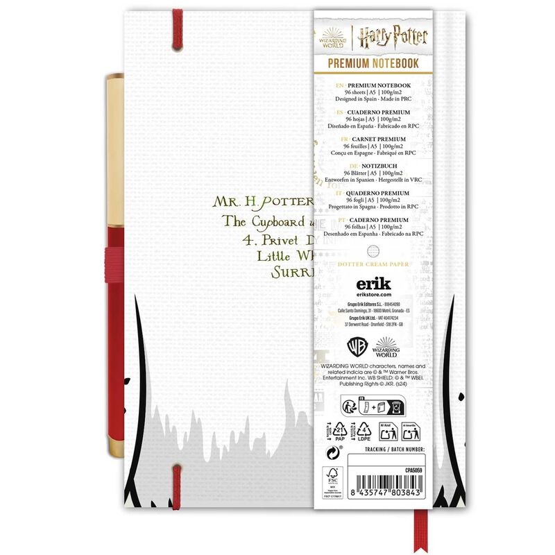 Cuaderno A5 Premium + Boligrafo Hedwig Harry Potter