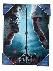 Harry Potter Póster de cristal Harry & Voldemort 30 x 40 cm