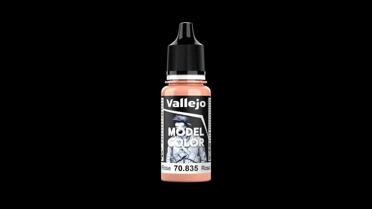 MODEL COLOR 70835 SALMON ROSE Frikytopia