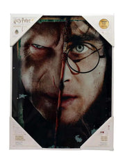 HP HALF FACE HARRY&VOLDEMORT Vaso Póster