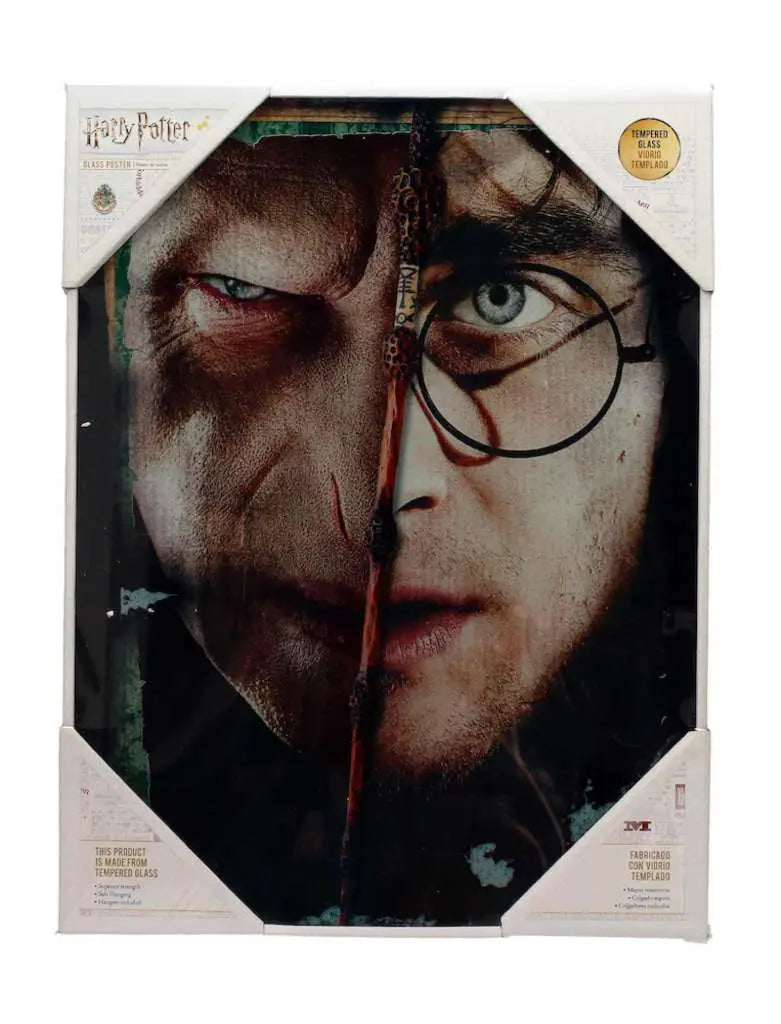 HP HALF FACE HARRY&VOLDEMORT Vaso Póster