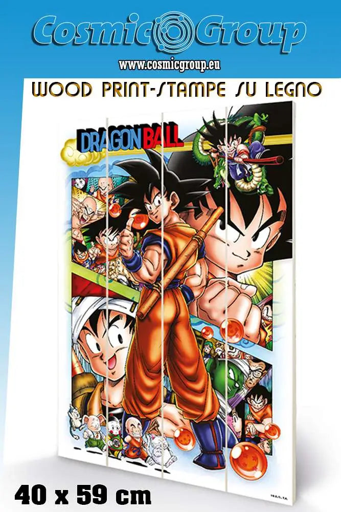 DRAGON BALL COMIC STRIP WOOD PRINT Frikytopia