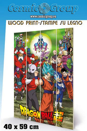 DRAGON BALL TOURNAMENT WOOD PRINT