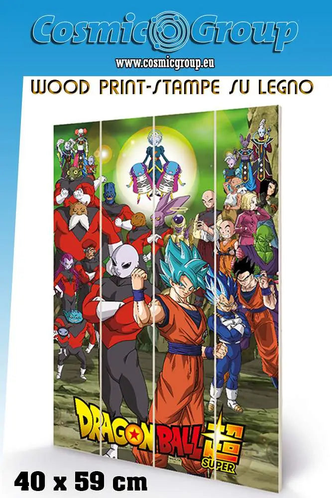 DRAGON BALL TOURNAMENT WOOD PRINT Frikytopia