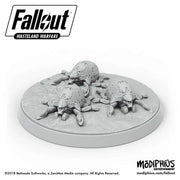 FALLOUT WW  MIRELURK HATCHLINGS & EGGS