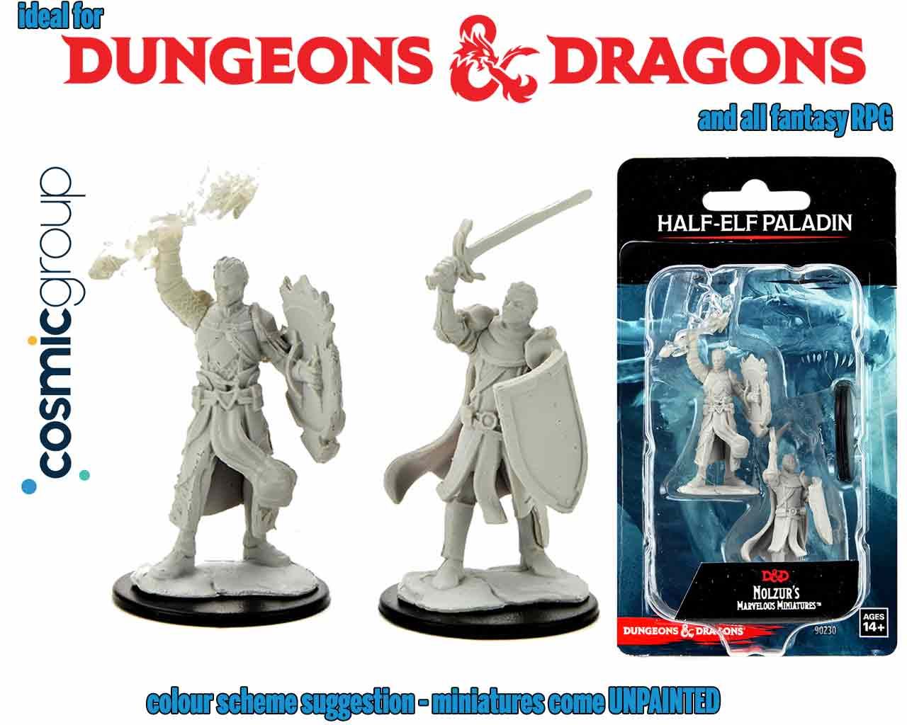 D&D NOLZUR'S MARVELOUS MINIATURES - HALF-ELF MALE PALADIN Frikytopia