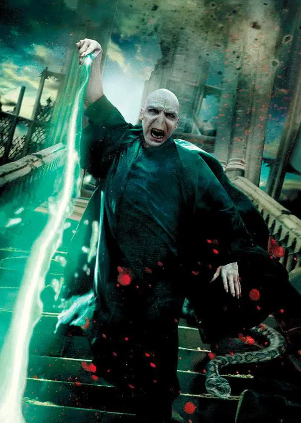 Libreta efecto 3d sd toys harry potter poster voldemort