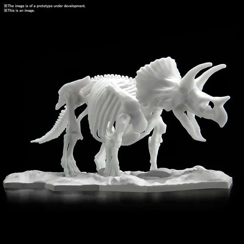DINOSAUR LIMEX SKELETON TRICERATOPS MK Frikytopia