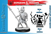 D&D FRAMEWORKS-HUMAN FIGHTER FEMALE