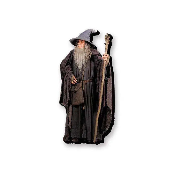 LOTR GANDALF FUNKY CHUNKY MAGNET Frikytopia