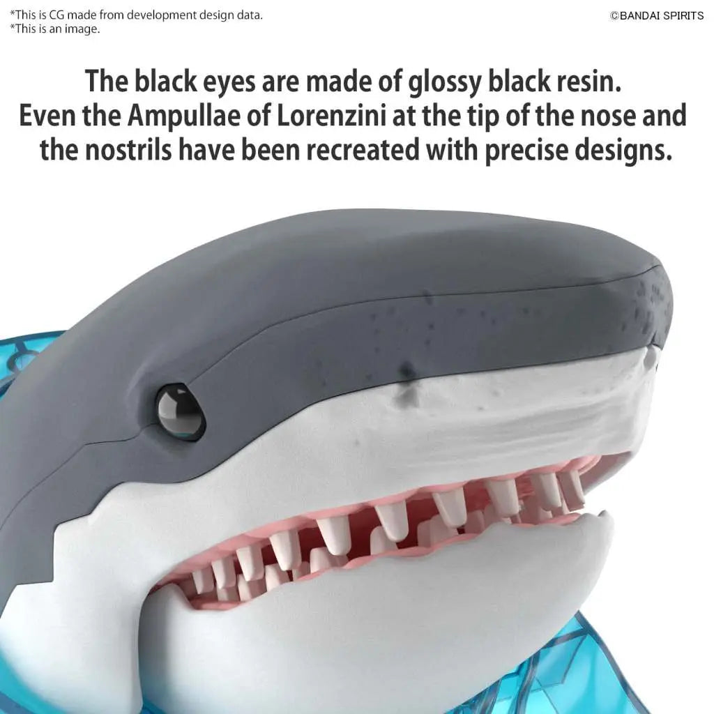 EXPLORING LAB NATURE GREAT WHITE SHARK
