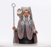 STAR WARS REBELS AHSOKA TANO 1/6 Busto