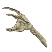 UM FOSSIL CREATURE HAND SCALED PROP REPL