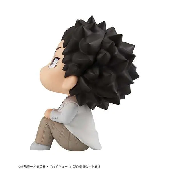 LOOKUP HAIKYU IWAIZUMI