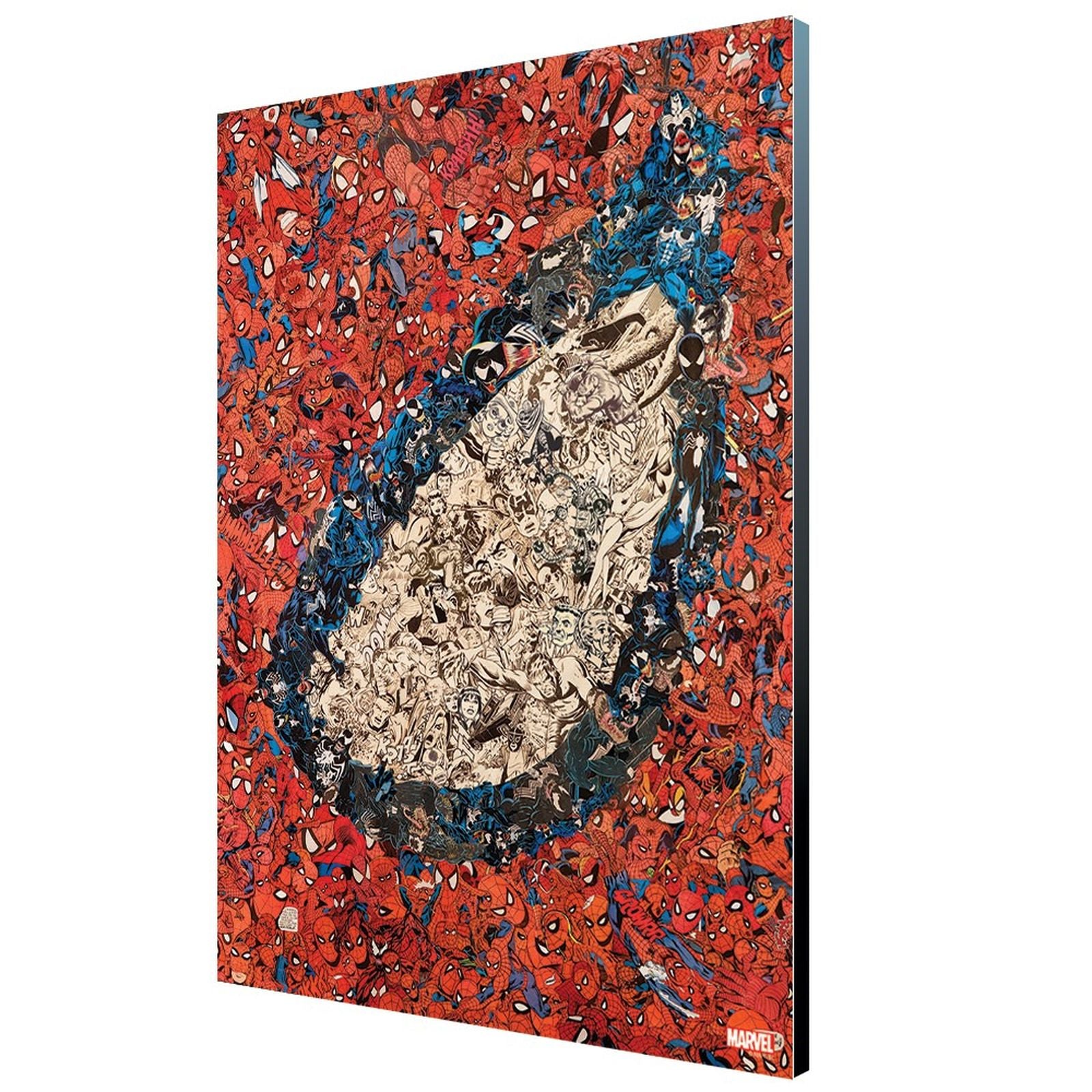 Panel 35x50 cm semic studio marvel mythic cover art 25 amazing spider - man #700 wood Frikytopia