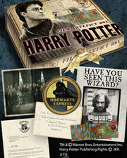 Harry Potter Cofre artefacto Harry Potter