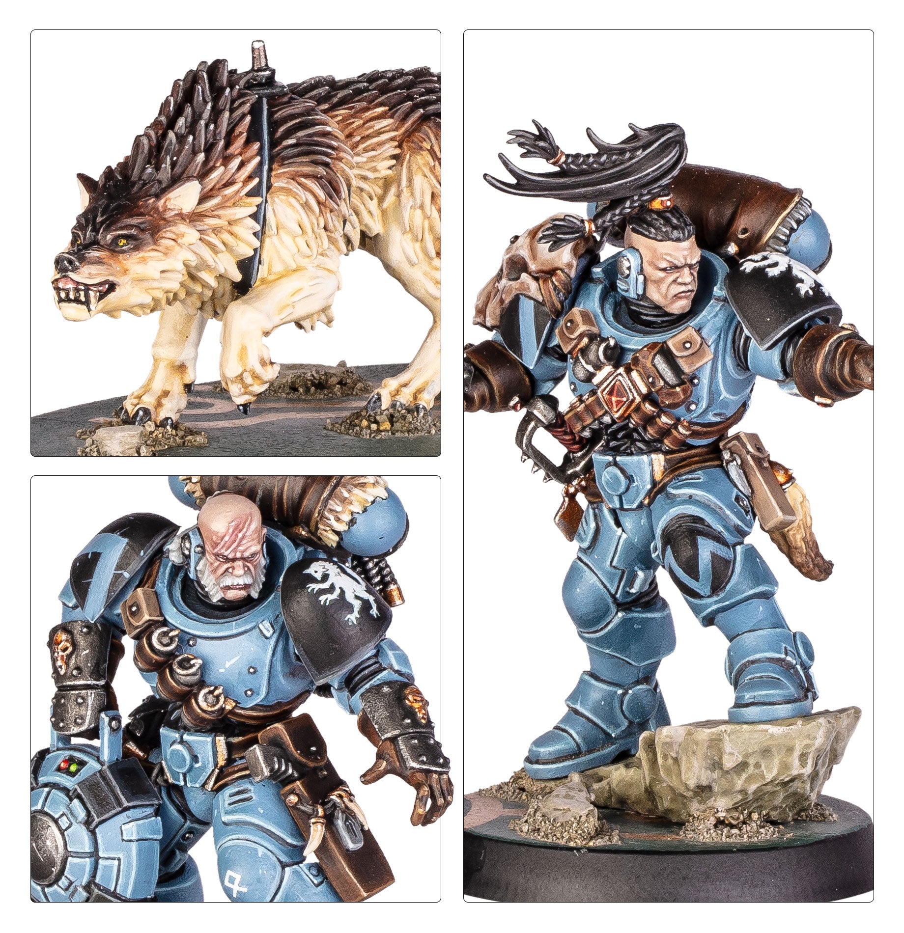 COMANDO DE EXPLORADORES LOBO