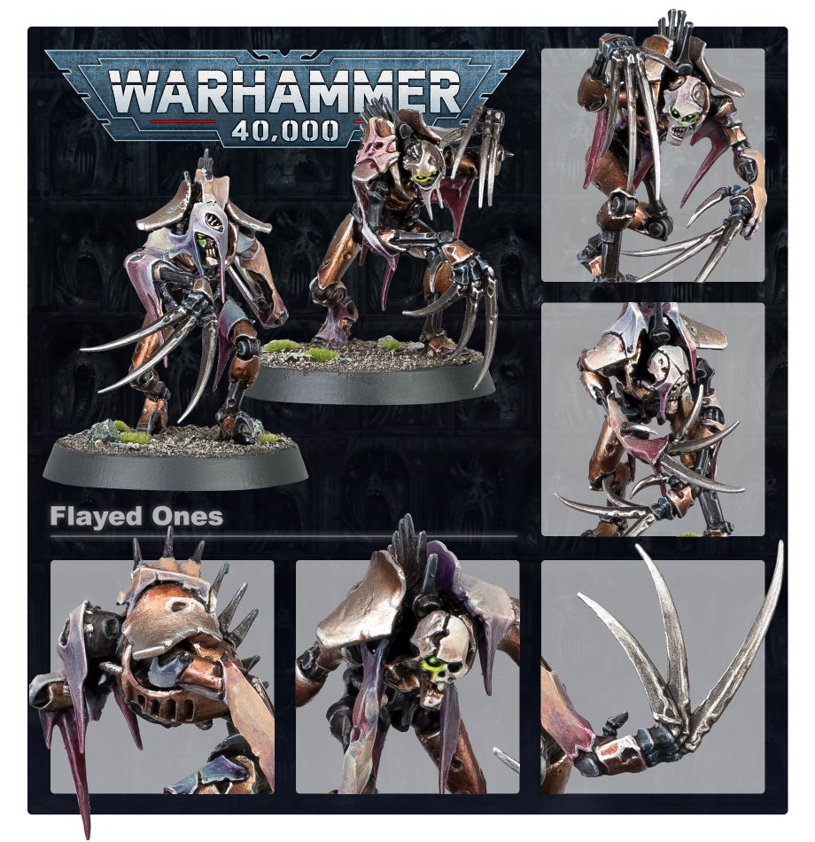 NECRONS: DESOLLADORES