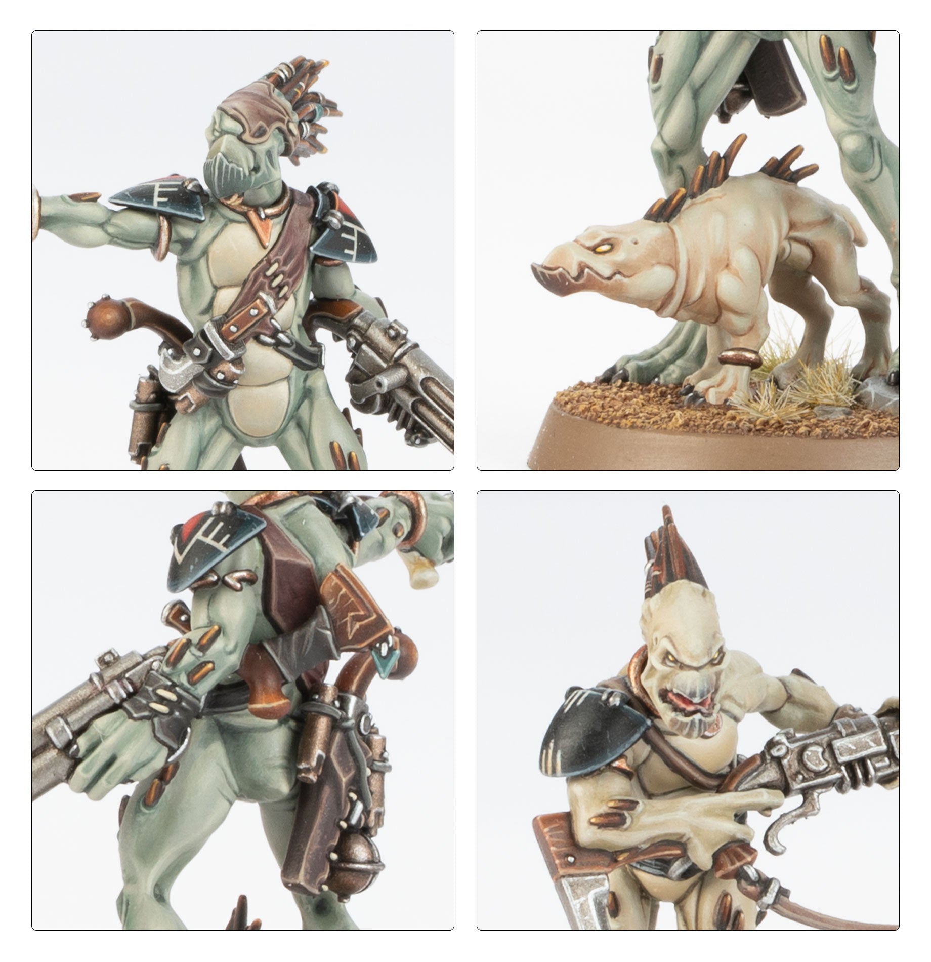CARNIVOROS KROOT