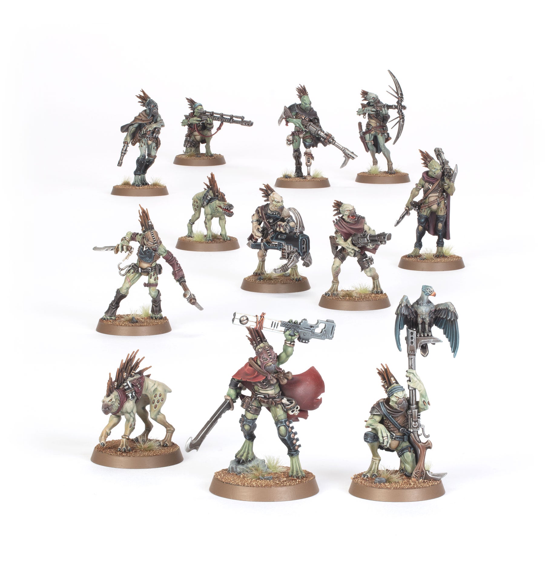Acechantes Kroot Frikytopia