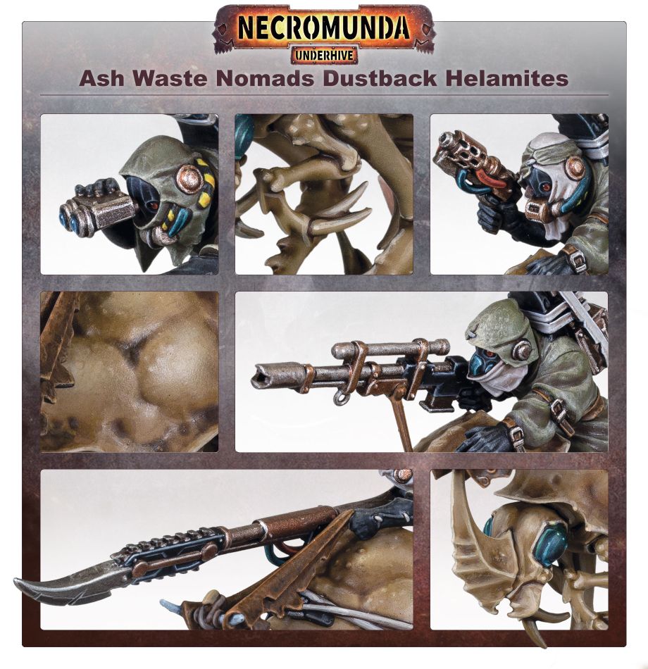 ASH WASTES NOMADS DUSTBACK HELAMITES