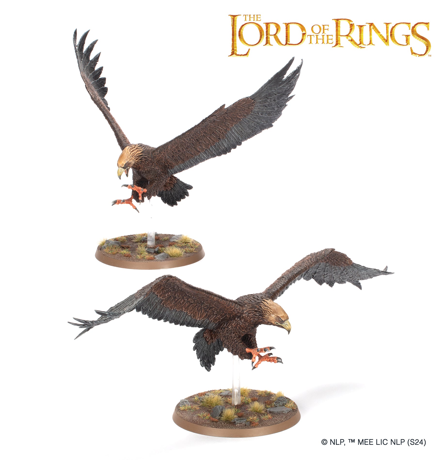 M-E SBG: GREAT EAGLES
