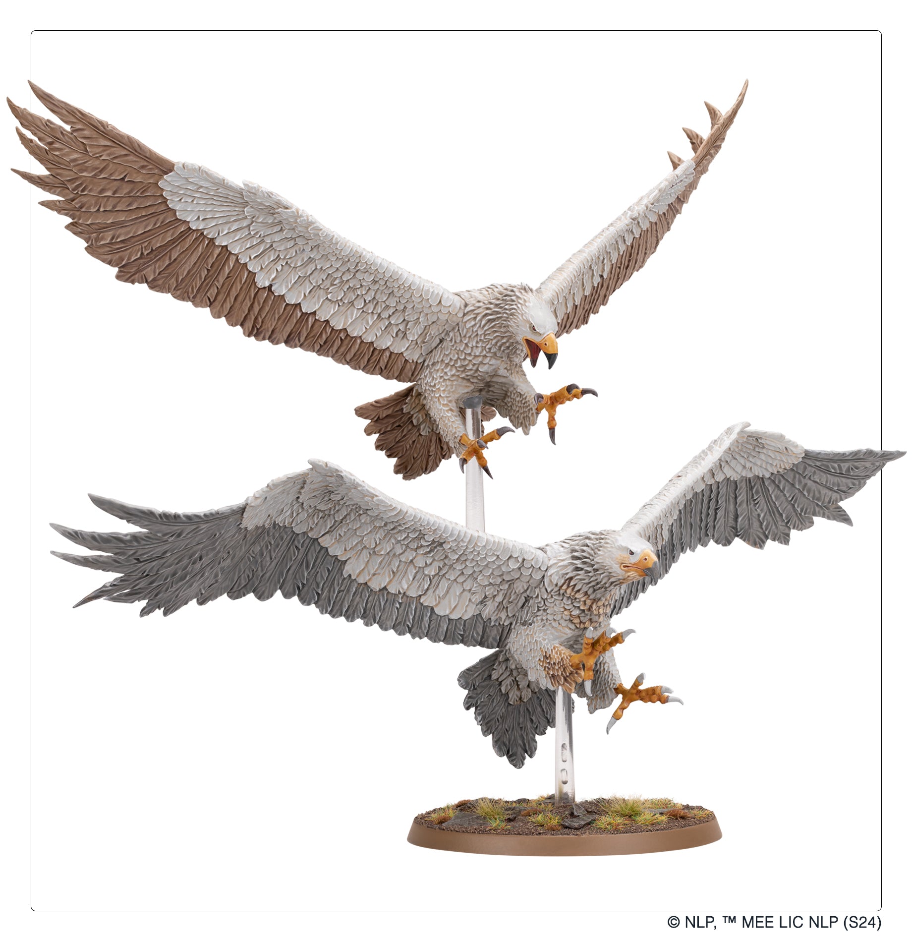 M-E SBG: GREAT EAGLES