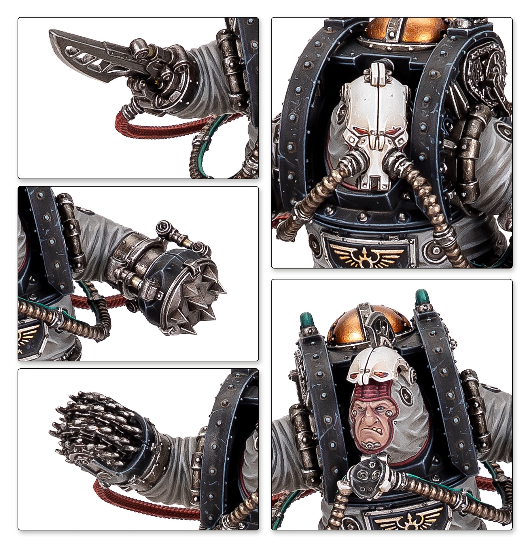 SOLAR AUXILIA: CHARONITE OGRYN SECTION