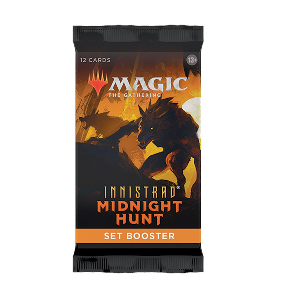 Juego de cartas sobre individual wizards of the coast magic the gathering
